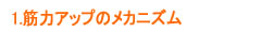 筋力アップのメカニズム