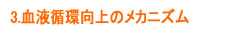 血液循環向上のメカニズム